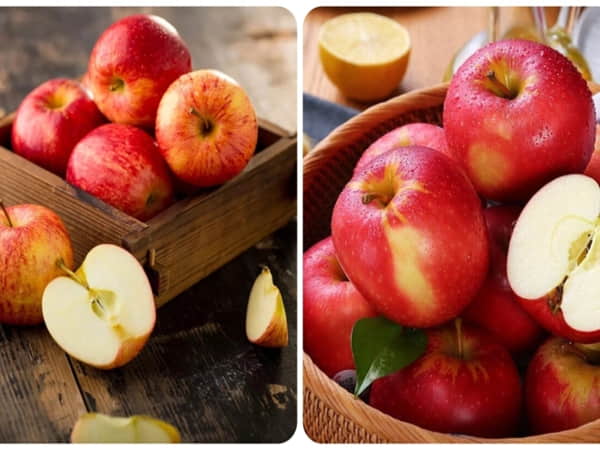 Hỗ trợ xương khớp và chống lão hóa