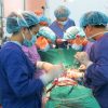 hồi sinh, 3 người được ghép tạng đã hồi phục