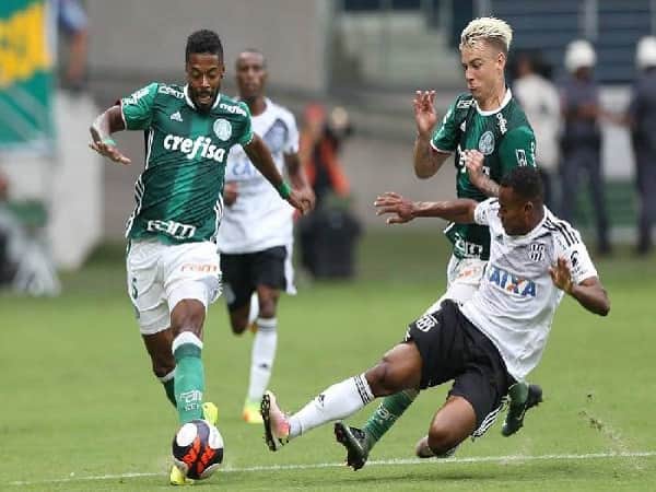 Soi kèo Palmeiras vs Botafogo 10/6