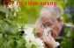 tong-hop-cac-loai-cay-tri-viem-xoang-hieu-qua