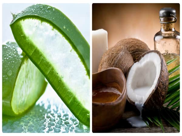 Dầu dừa lô hội