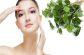 Trị mụn bằng rau diếp cá