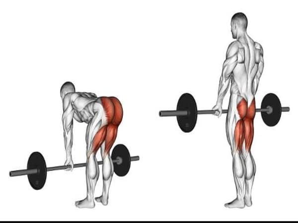 Deadlift là bài tập giúp giảm mỡ toàn thân và tăng cường cơ mông.
