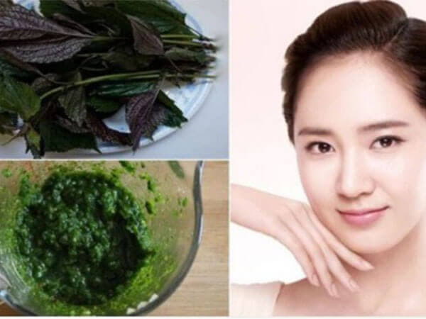 Đắp rau diếp cá trị mụn có tốt không