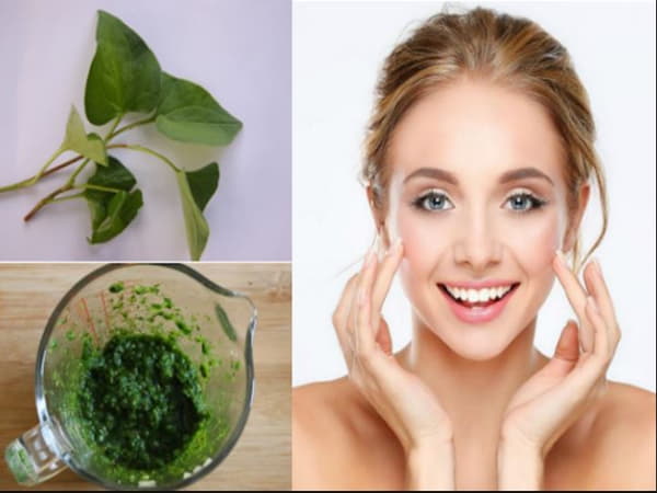 Tác dụng của rau diếp cá với da mặt