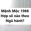 Mệnh Mộc 1988 hợp số nào theo ngũ hành?