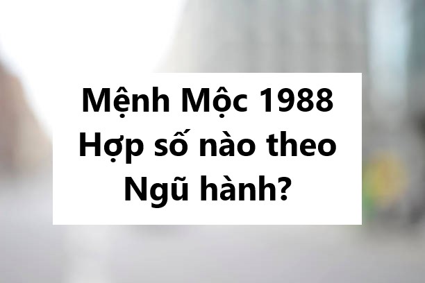 Mệnh Mộc 1988 hợp số nào theo ngũ hành?