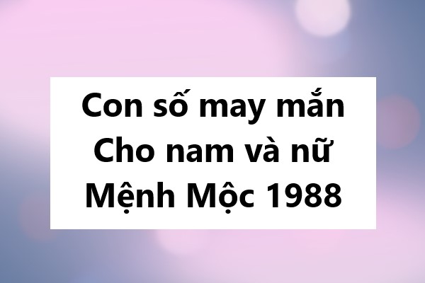 Con số may mắn cho nam và nữ mệnh Mộc 1988
