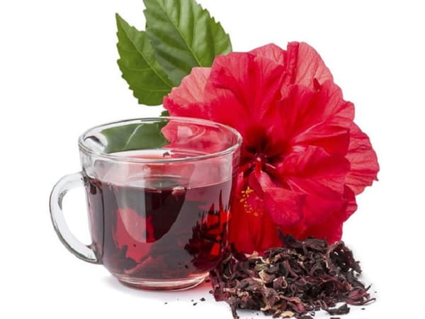 Bài thuốc từ cây râm bụt hiệu quả, dễ áp dụng