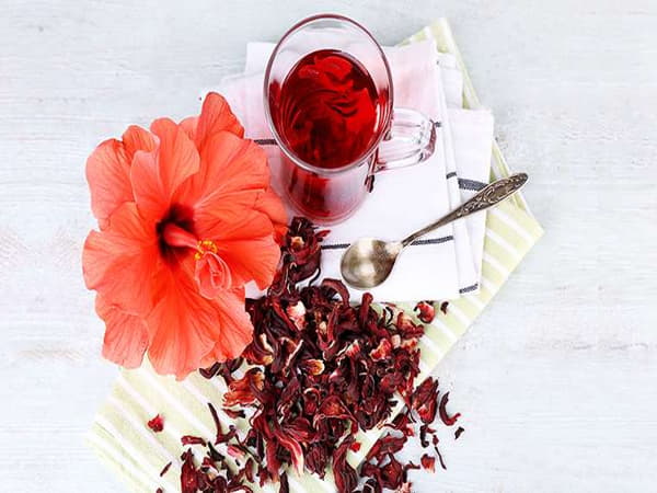 Bài thuốc từ hoa dâm bụt giúp an thần ngủ ngon