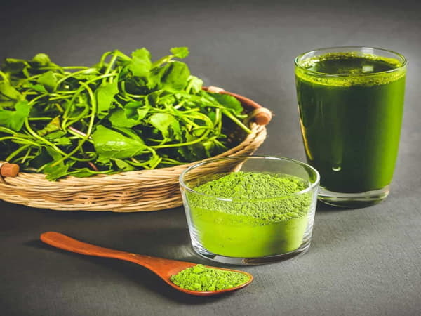 Bài thuốc từ rau má – thần dược giải độc