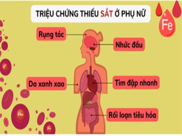Biểu hiện thiếu sắt ở phụ nữ