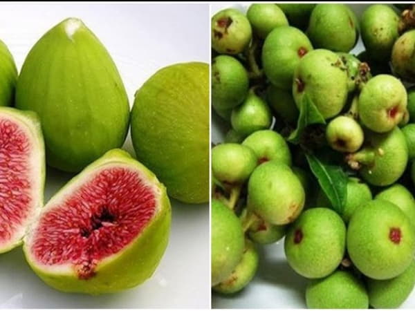 Hỗ trợ điều trị mụn nhọt, lở loét