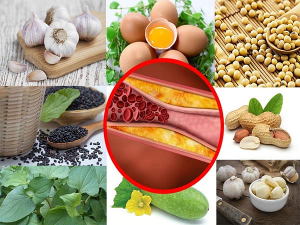 Giới thiệu chung về mỡ máu và vai trò của chế độ ăn uống
