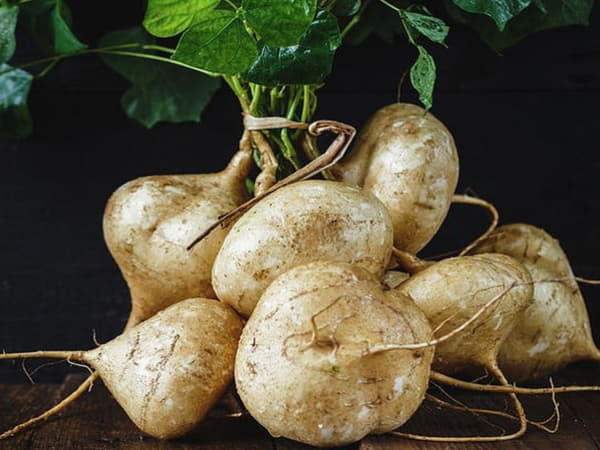 Suy thận ăn củ đậu được không