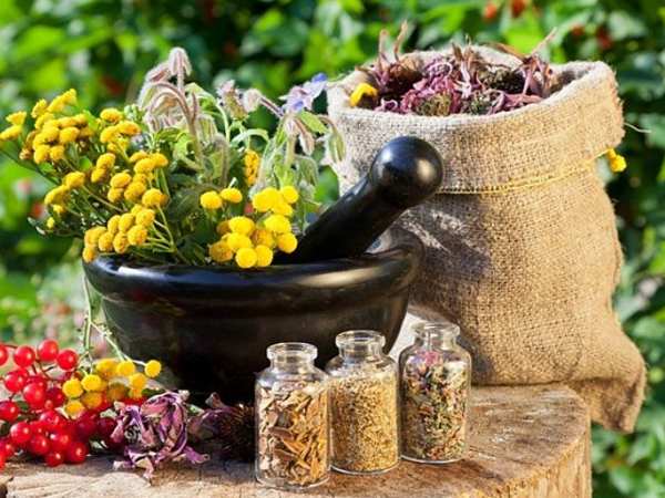 Tại sao nên trị bệnh phong thấp bằng thảo dược?