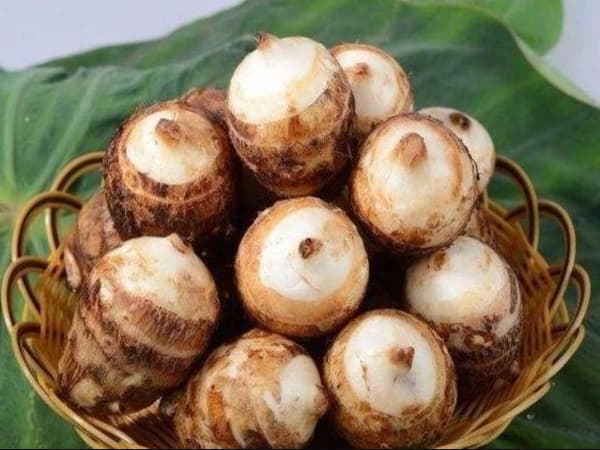 Giá trị dinh dưỡng của khoai sọ