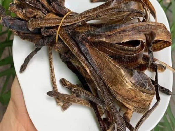 Giun đất chữa bệnh gì