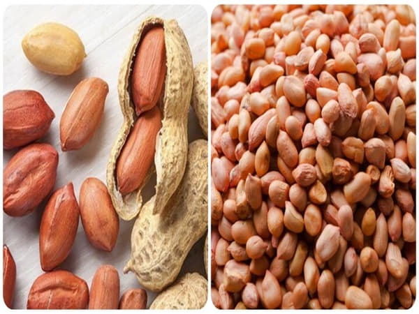 Lạc có tác dụng gì cho sức khỏe