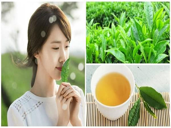 Lá chè xanh có gì đặc biệt trong chăm sóc da