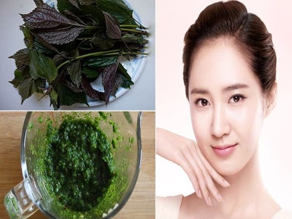 Cách làm đẹp với lá tía tô cho làn da khỏe đẹp tự nhiên