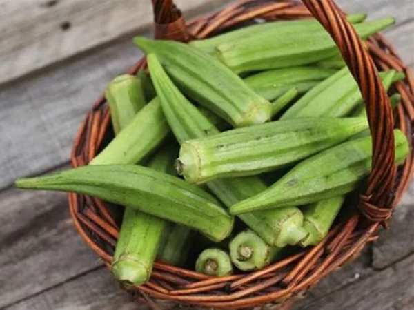 Những tác hại có thể gặp khi ăn đậu bắp sống