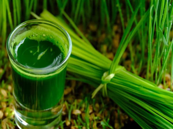 Cách uống nước ép hẹ tốt cho sức khỏe