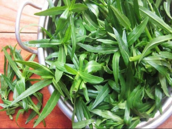 Thành phần dinh dưỡng của rau ngổ