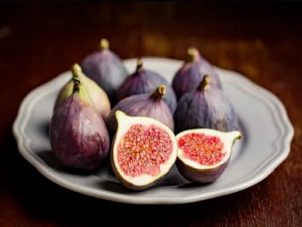 Giá trị dinh dưỡng của quả Sung