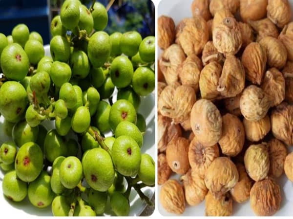 Giúp Kiểm Soát Đường Huyết Cho Người Tiểu Đường