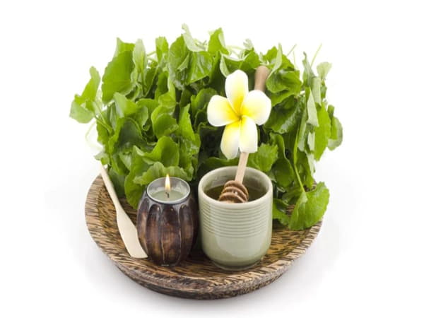 Tác dụng của rau má là làm lành vết thương nhanh chóng