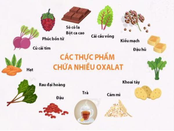 Thực phẩm giàu oxalat