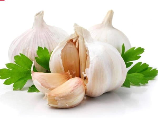 Tỏi có tác dụng gì, những lợi ích đáng kinh ngạc từ tỏi