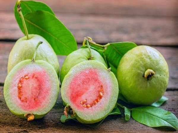 Trái cây nào nhiều vitamin c nhất Ổi – “vua” của Vitamin C
