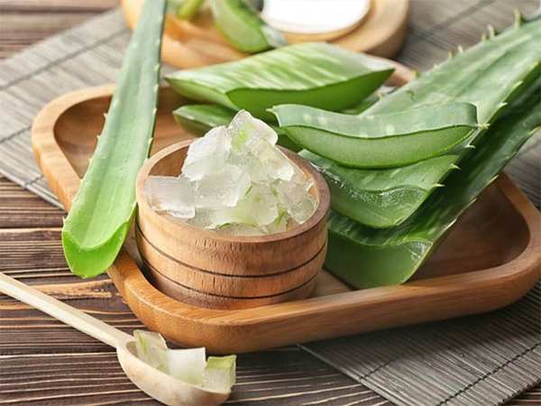 Hướng dẫn cách ủ tóc bằng nha đam tại nhà