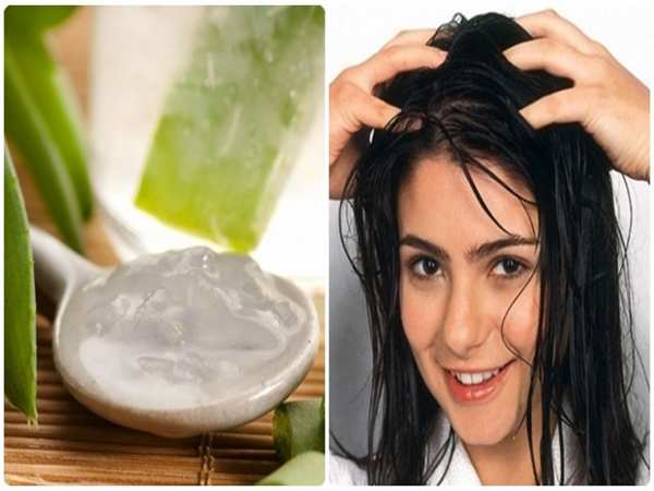 Ủ tóc bằng Nha Đam là bí quyết giúp mái tóc mềm mượt