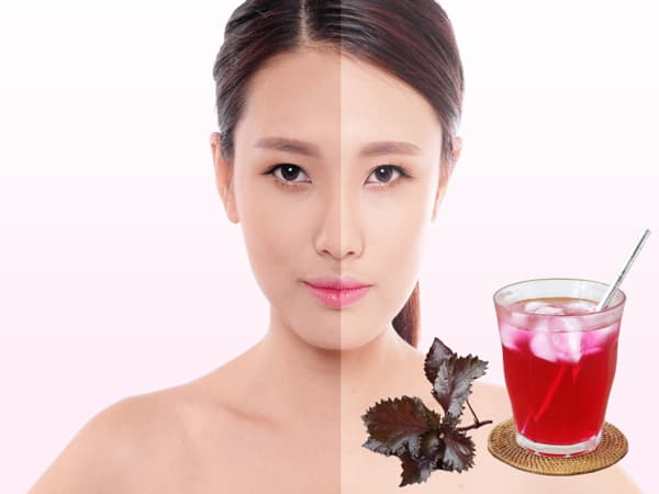 Uống nước lá tía tô – Dưỡng da từ bên trong