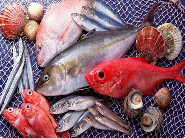 Các loại cá tốt cho bà bầu nhiều dinh dưỡng mẹ nên ăn