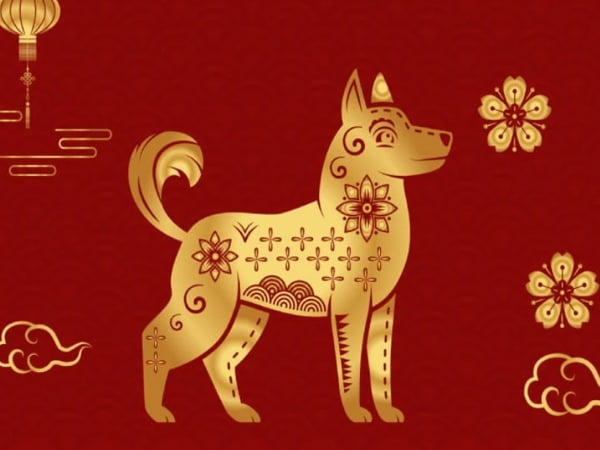 Con số may mắn tuổi Canh Tuất ngày 12/1/2026 theo vận khí ngày